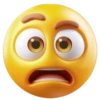 NemOji 2025 7
