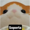 Ternurin español 10
