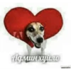 Админ хуйло