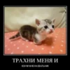 ТРАХНИ МЕНЯ И КОНЧИ МНЕ НА ЕБАЛЬНИК