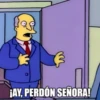 ¡AY, PERDÓN SEÑORA!