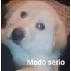 El que lea esto es gey 15