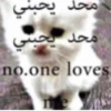 محد يحبني محد يحبني no.one loves me