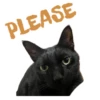 PLEASE