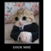 соси мне
