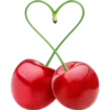 Vegan Hearts for Lovers & Loved Ones 12