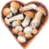 Vegan Hearts for Lovers & Loved Ones 14