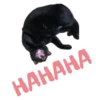 НАНАНА