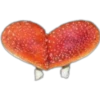 Vegan Hearts for Lovers & Loved Ones 15