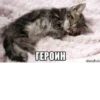 ГЕРОИН