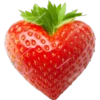 Vegan Hearts for Lovers & Loved Ones 17