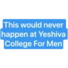 YU 2024 13