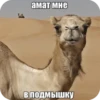 др.egypt by 18