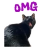 OMG