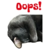 Oops!