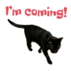 I'm coming!