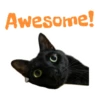 Awesome!