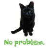 No problem.