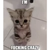 IM FUCKING CRAZY
