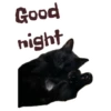 Good night