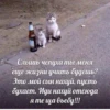 Слышь чепуха ты меня еще жизни учить будешь? Это мой сын нахуй, пусть бухает. Иди нахуй отсюда я те ща въебу!!!