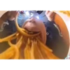 Toni_xD 17