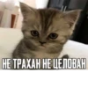 HE TPAXAH HE LENOBAH