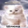 Шлюха