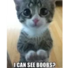 I CAN SEE BOOBS?