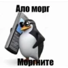 Miau | via 27