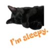 I'm sleepy.