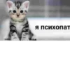 Я психопат