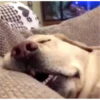 sleep for the weak 28