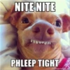 NITE NITE PHLEEP TIGHT memegeneratoraju
