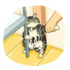 Cat^^ 6