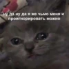 Mems Cat • 8