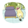 Cat^^ 10