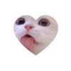 Kitties love @tgstikks @iamideas 9