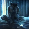 miau 5