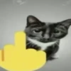 miau 7