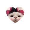 Kitties love @tgstikks @iamideas 10