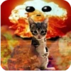 смешные кошки 8