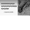 МYравей-философ от 6