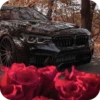 Beauty | Flowers💐 5
