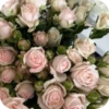 Beauty | Flowers💐 6