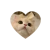 Kitties love @tgstikks @iamideas 17