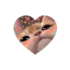 Kitties love @tgstikks @iamideas 18