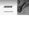 МYравей-философ от 11