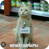 SFQFKkf_by_achestickbot 7