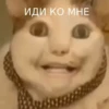 ИДИ КО МНЕ
